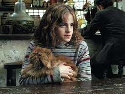 Le chat d'Emma Watson dans Harry Potter :