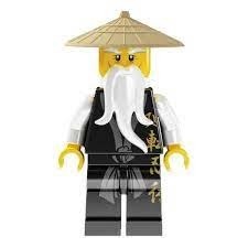 Comment s'appelle le maître ninja ?