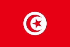 Quel pays est représenté par ce drapeau ?