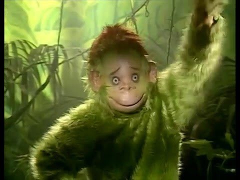 Qu'est-ce que ce singe vert avait l'habitude de présenter ?
