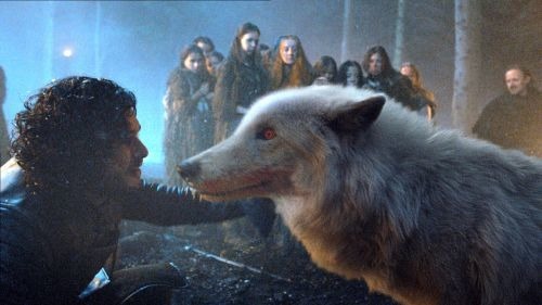 Dans Game of Thrones le chien loup s'appelle ?
