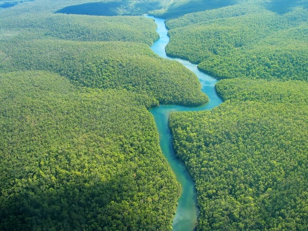 L’Amazone traverse le Brésil, la Colombie et…