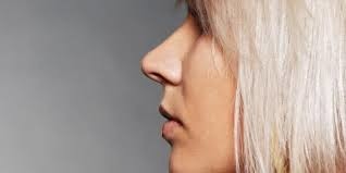 Comment s'appelle ce nez ?