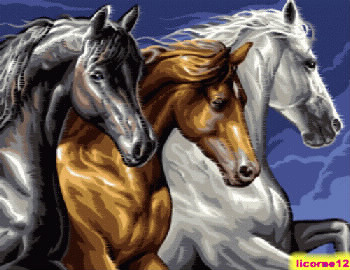 Mieux vaut prendre un cheval ou poney bai blanc ou noir ?