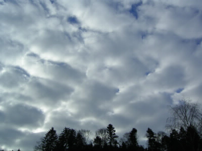 Le ciel vous apparaît tel que sur la photo. Quel genre de nuages y observez-vous ?