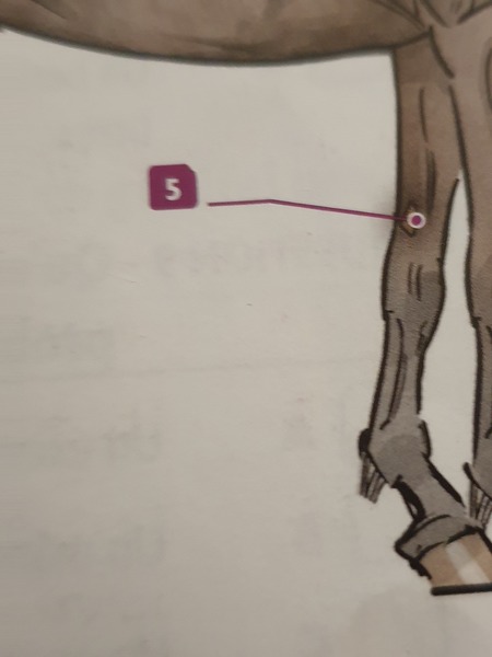 Comment s´appelle la partie 5 ?