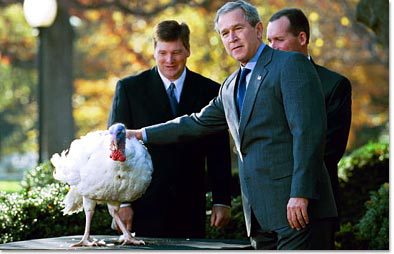 Who pardons the turkeys ?