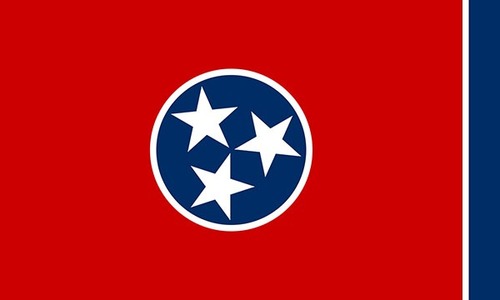 À quel État américain appartient ce drapeau ?