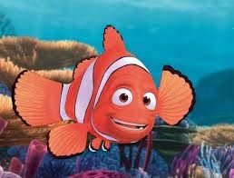 Nemo est quel type de poisson ?
