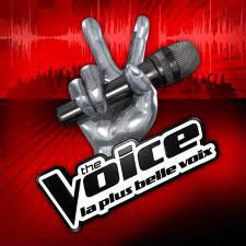 Qui a gagné the voice1 ?