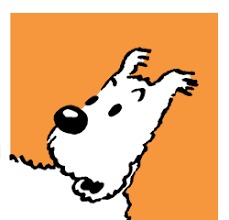 Comment se nomme le chien de Tintin ?