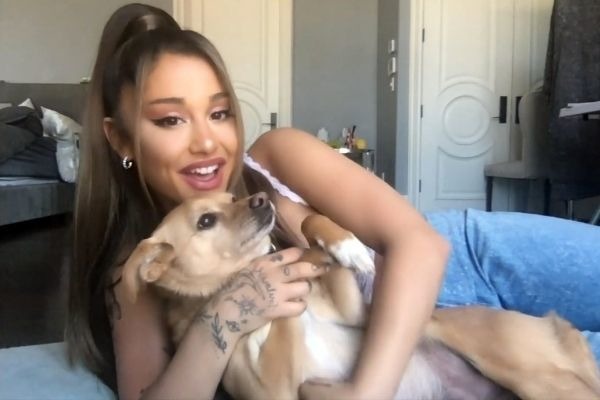 Quelle affirmation concernant Ariana Grande et les animaux est fausse ?