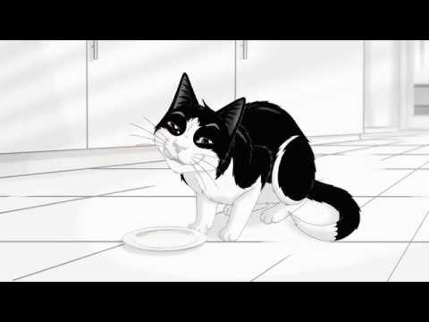 Comment s'appelle le chat noir et blanc, héros d'une pub pour de la nourriture pour chats ?