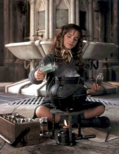 En quoi Hermione s'est-elle transformée la dernière fois qu'elle a bu du polynectar ?