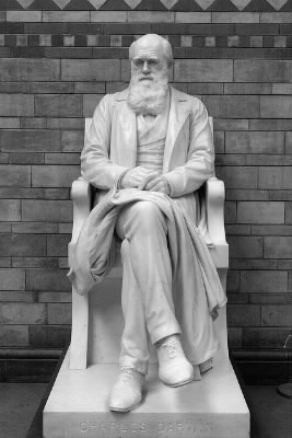 Who is Charles Darwin ?