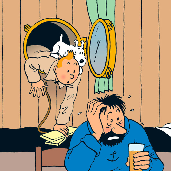 Dans quelle aventure Tintin fait-il la connaissance du Capitaine Haddock ?