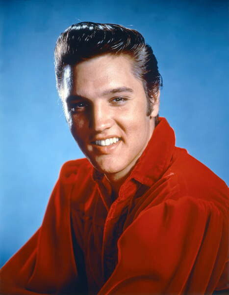 Avec "Heartbreak Hotel" et "Love me tender", il connait de gros succès. C'est ?