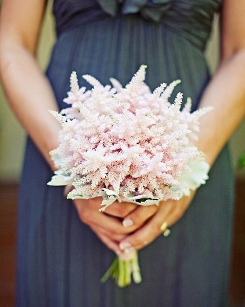 De quelle famille fait partie l'Astilbe ?