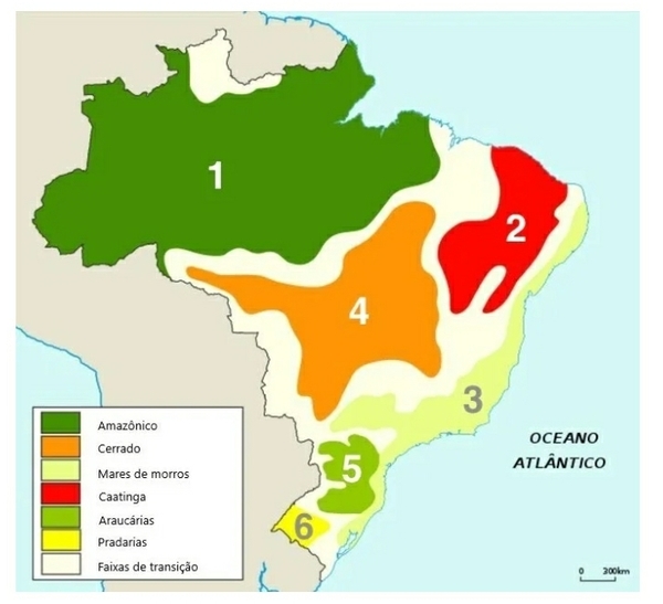 É o maior domínio morfoclimático do Brasil?
