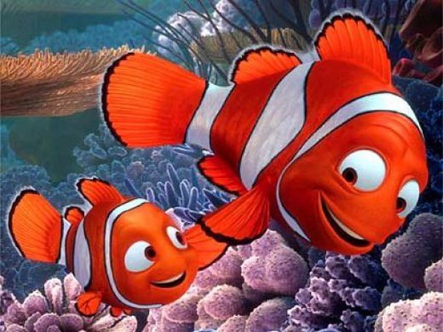 Comment s'appelle le père de Nemo ?