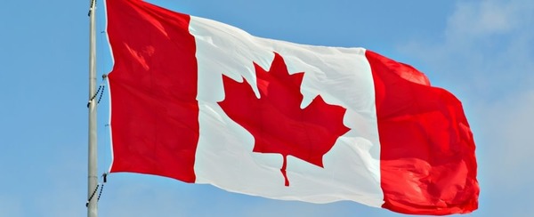 Le drapeau du Canada porte une feuille de quel arbre ?
