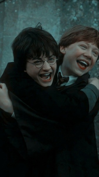 Ou Ron et Harry se sont vus pour la première fois ?