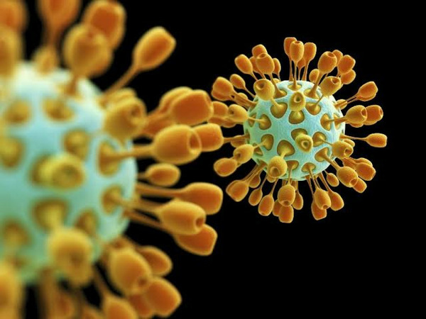 En quelle année des premiers cas de maladie dûs au virus VIH, ont-ils été signalés ?
