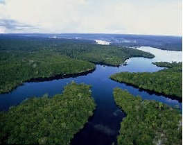 Combien de kilomètres carrés fait l'Amazonie ?