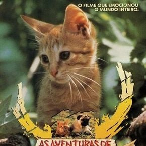 Qui est ce chat héros d'un film japonais en 1986 ?