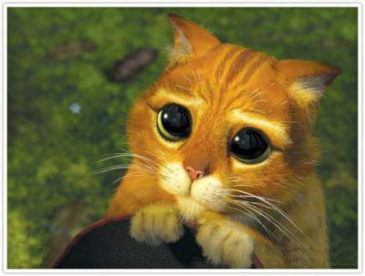 Quand quelqu'un vous regarde avec des yeux éxagérément amoureux, on dit qu'il vous lance un regard de...