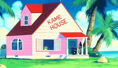 Qui habite dans la maison Kame house ?