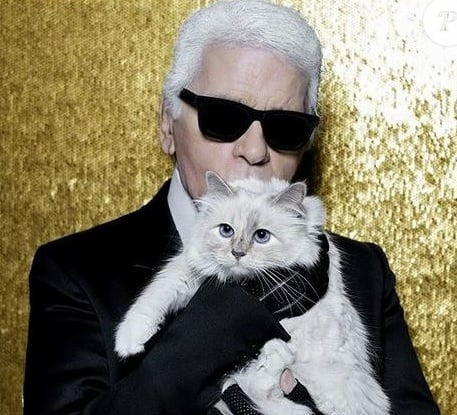 Héritière de Karl Lagerfeld, elle s'appelle...