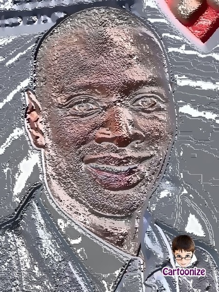 Je suis :