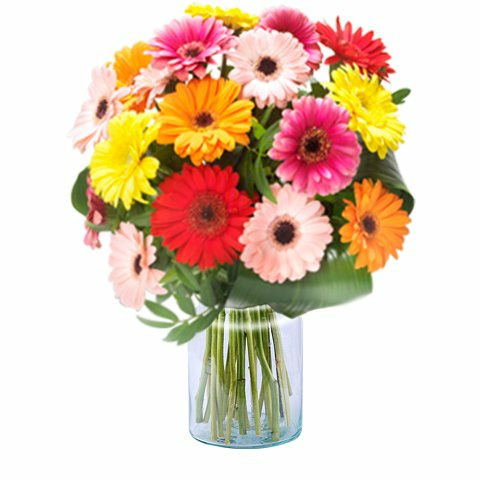 Donnez le nom usuel, le nom botanique et la famille de cette fleur ?