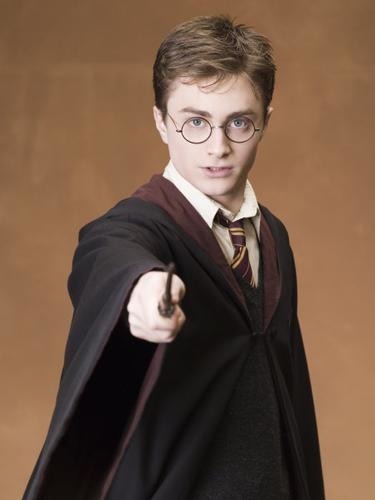 Qui joue Harry Potter ?