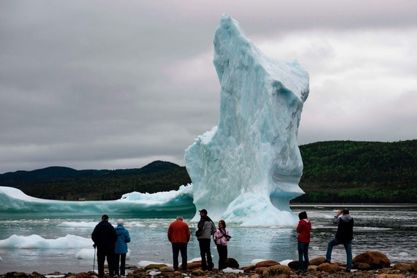 Quelle province est réputée pour l'observation des icebergs ?