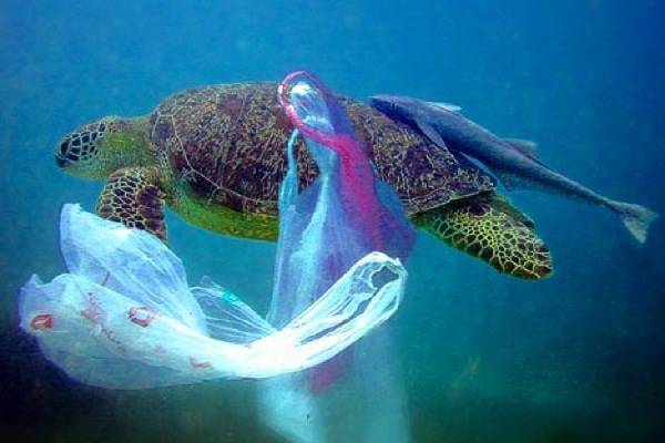 Combien de kilos de déchets sont déversés dans l'océan chaque année ?