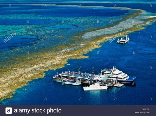 Combien de touristes se rendent chaque année sur la Grande Barrière de corail ?