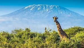 Quel est le plus grand sommet de la Tanzanie ?