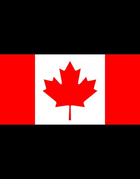 A quel pays appartient ce drapeau ?
