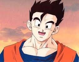 Alors c'est qui lui, le fils ainé de Son Goku ?