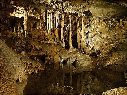 Dans quelle province belge le domaine touristique des Grottes de Han est-il situé ?