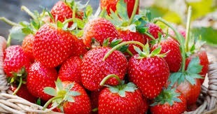 Comment se nomment les petites graines visibles sur une fraise ?