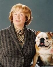 Combien la tante Marje a-t-elle de chiens ?