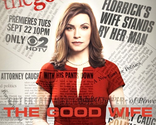 "Good Wife" est une série qui parle :