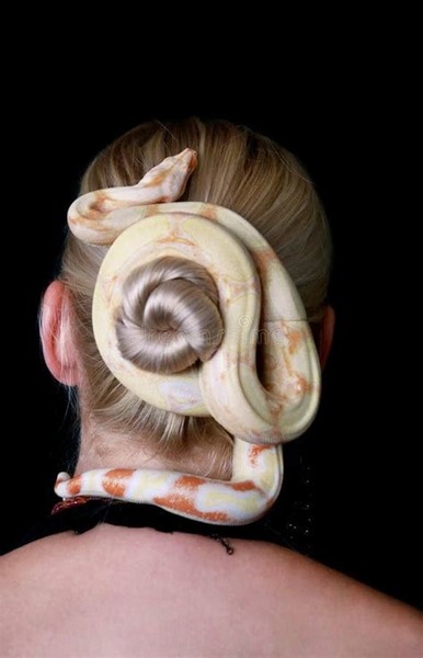 "Qui sont ces serpents qui sifflent sur vos têtes ?" vers de ?