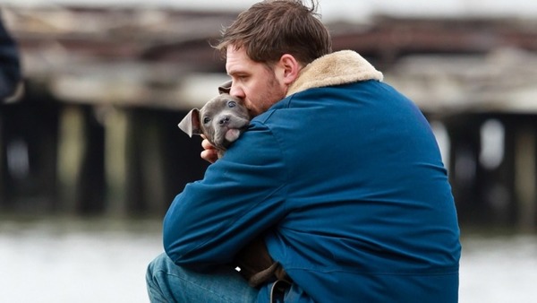 Tom Hardy a adopté le chien star du film après le tournage...