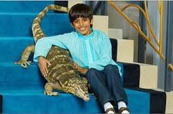 Comment s'appelle le lézard de Ravi ?