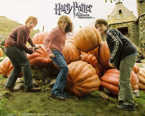 Dans Harry Potter et le prisonnier d'Azcaban comment Hermione attire Buck ?