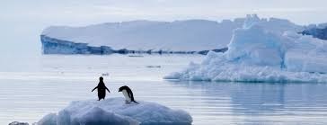 Comment se nomme la tranche du continent Antarctique revendiquée par la France ?